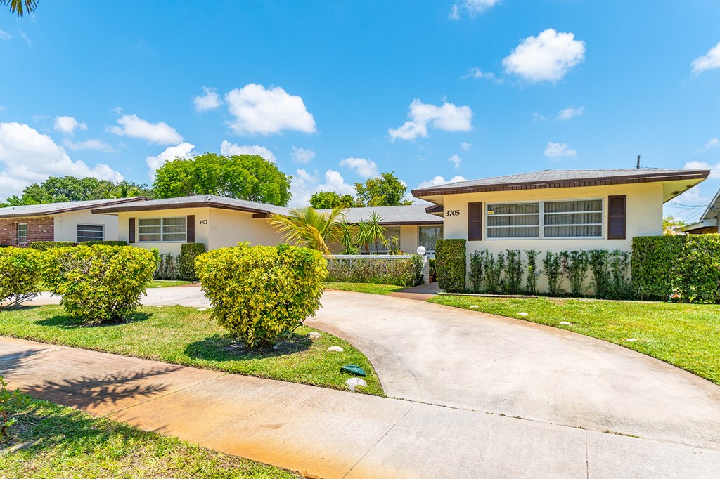 a house with a driveway and a palm tree in front of it