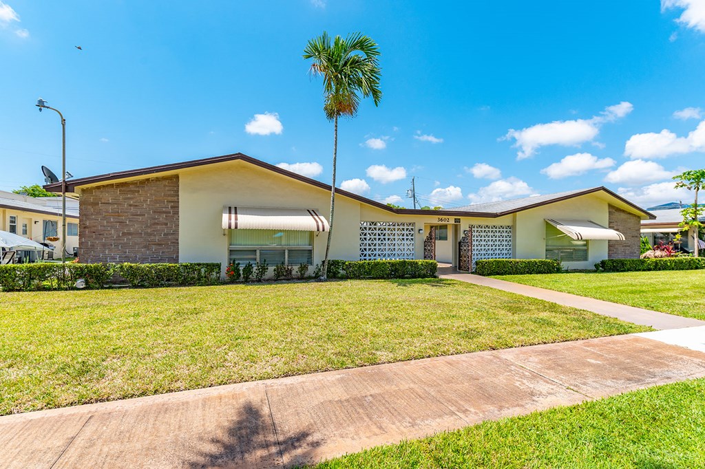 a house with a lawn and a palm tree in front of it