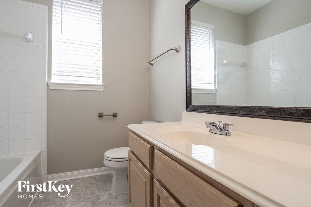 a bathroom with a sink and a toilet and a mirror