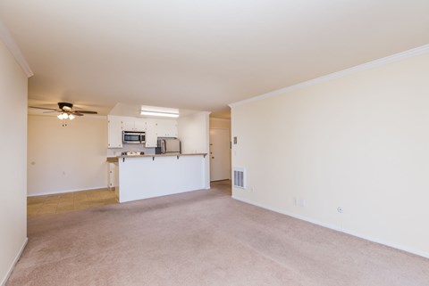 A spacious living room with a kitchenette in the background.