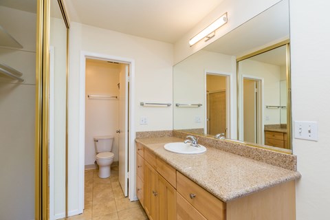 A bathroom with a sink, mirror, and toilet.