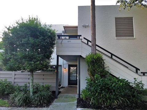 the entrance to a building with a staircase and a tree