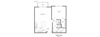 1 Bedroom, 1 Bathroom B3