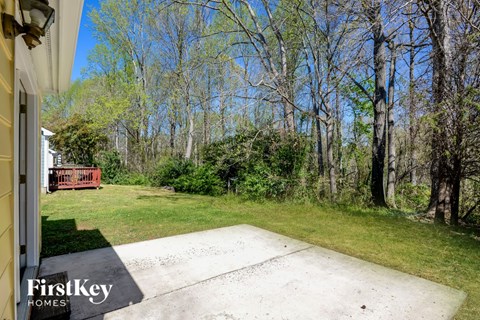 A backyard with a concrete slab and trees.