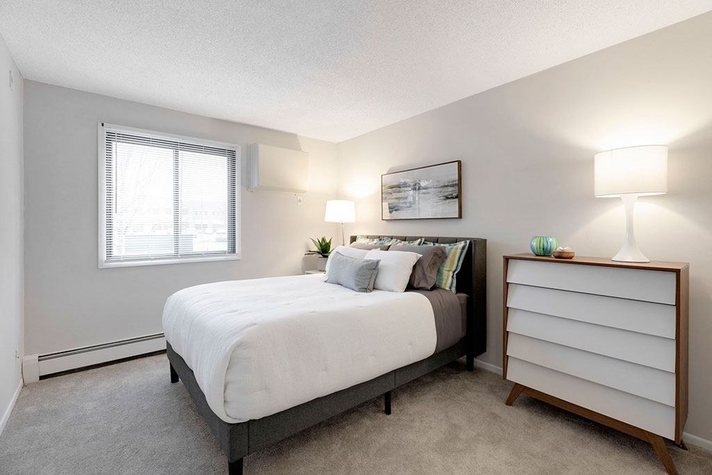 Bedroom with Queen bed and dresser