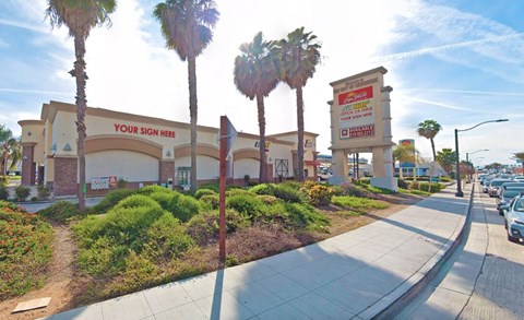 A palm tree is in front of a store with a sign that says "Your Sign Here".