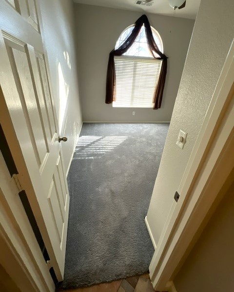 A hallway with a carpeted floor and a window with blinds.