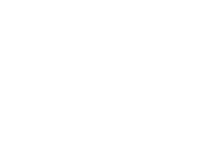 The Vue logo