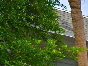 Modern Apartments For Rent In Tampa Fl Modern Apartments For Rent In Tampa Fl