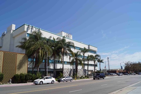 a building with palm trees on the side of a street