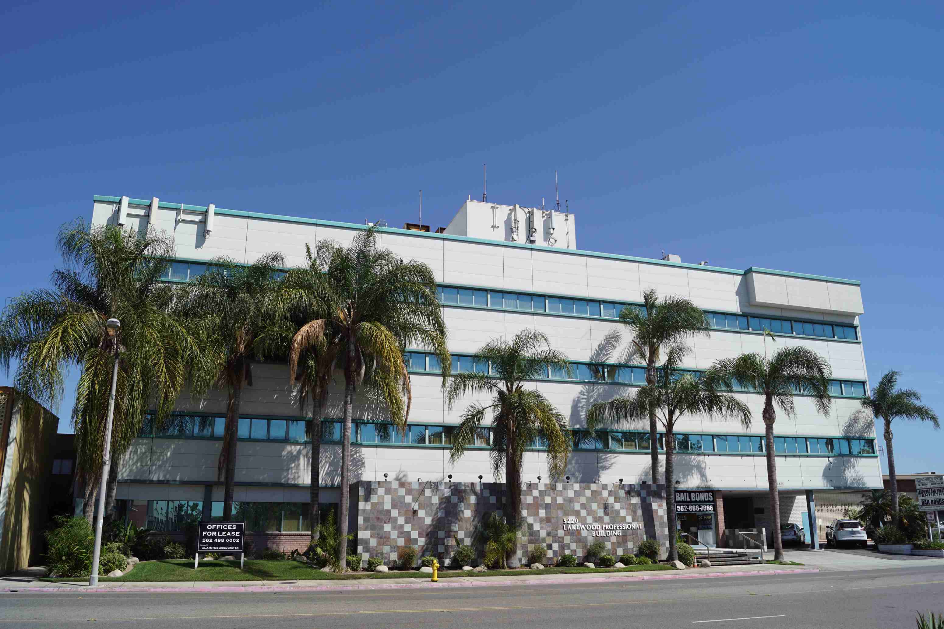 a white building with palm trees in front of it