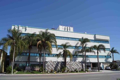 a white building with palm trees in front of it