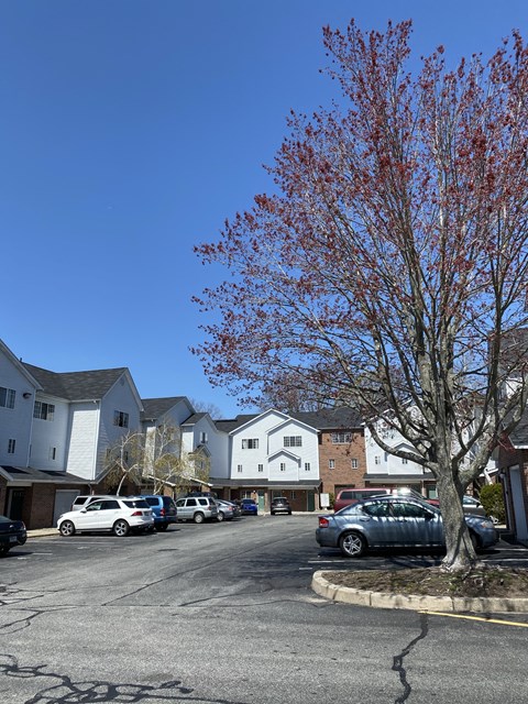 a city street with cars parked in front of houses