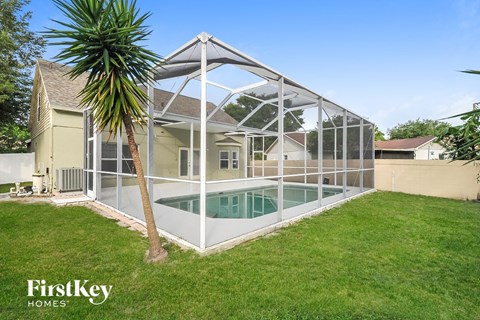 A pool enclosed by a glass wall with a palm tree in front.