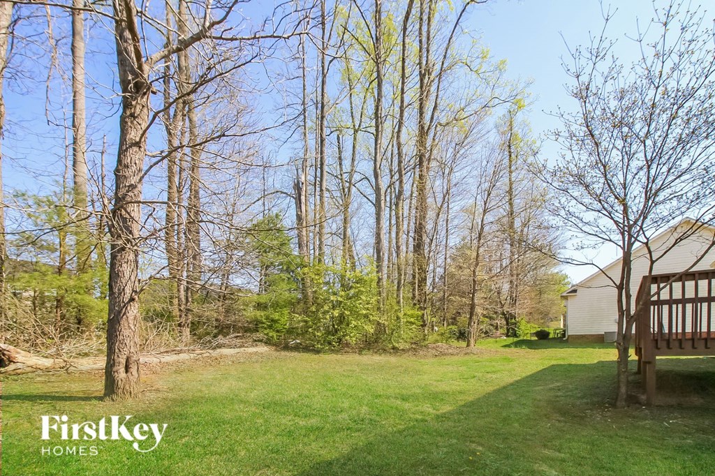 a backyard with a yard and a house and trees