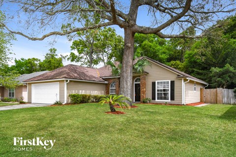 a home with a large tree in the front yard