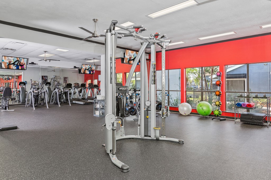 the gym at the house