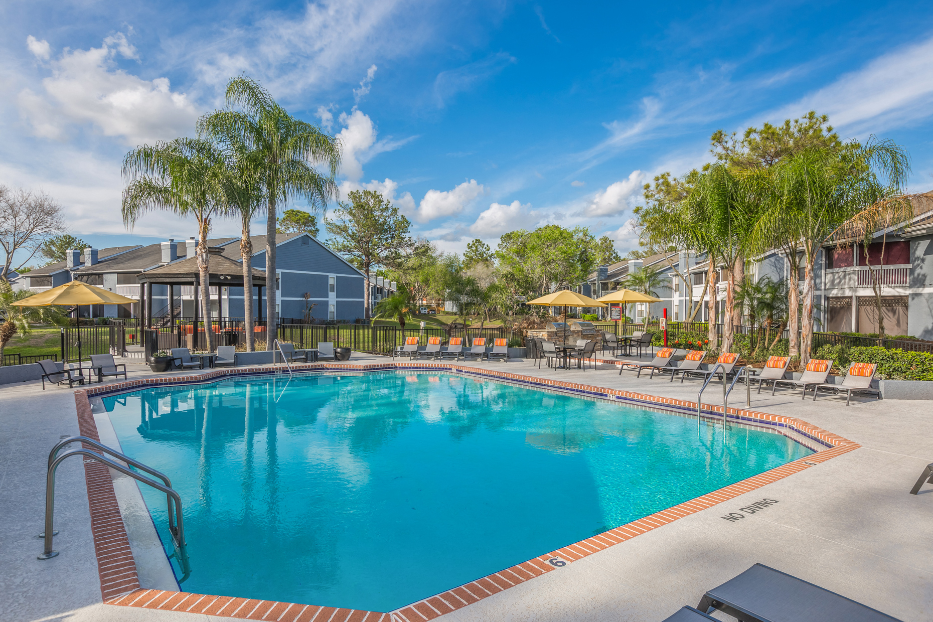 Swimming Pool at Northgreen at Carrollwood Apartments in Tampa, FL