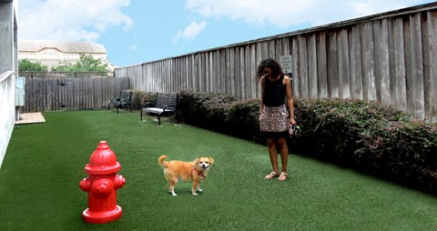 Luxury apartments with off-leash dog park at Tuscany Court Apartments in Houston.