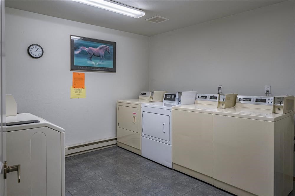 a group of washes and dryers in a room