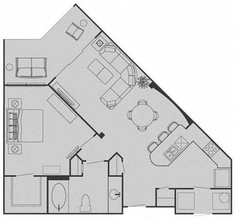 1001 Lake Carolyn Parkway Studio-2 Beds Apartment for Rent - Photo Gallery 33