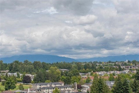 A cloudy day in a residential area with houses and trees.