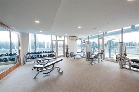A spacious gym with a variety of equipment and a view of trees outside the windows.