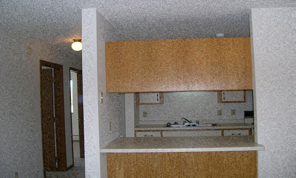 A kitchen with a counter and cabinets.