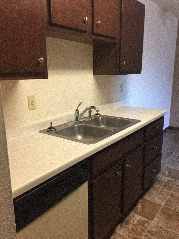 kitchen with dark cupboards