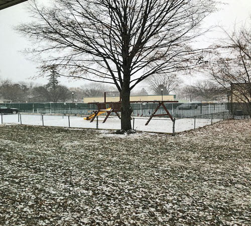 A tree in a snowy park with a playground in the background.