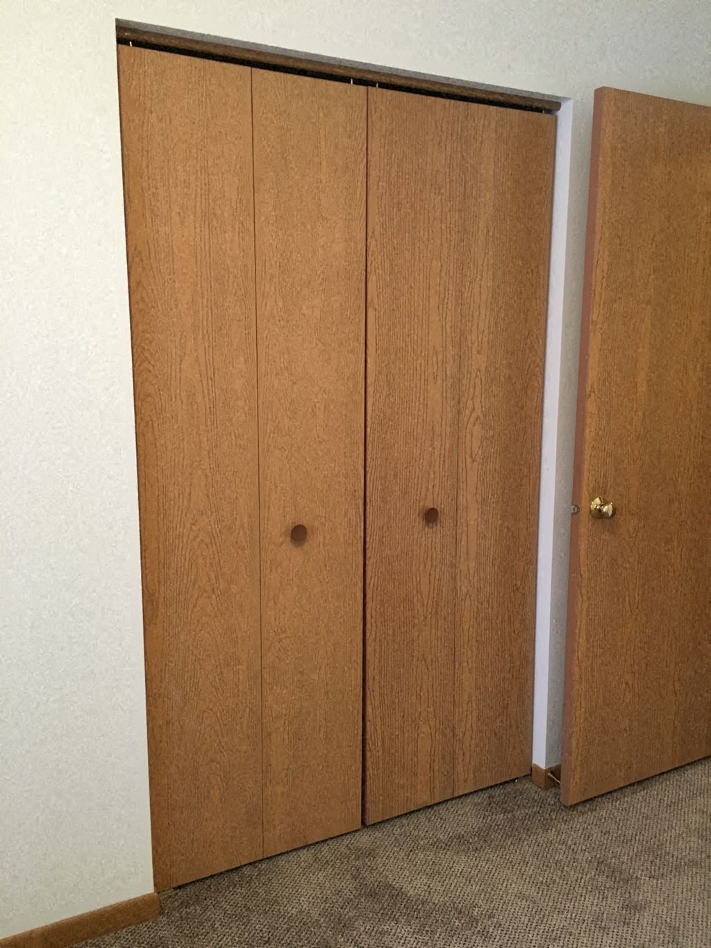 a pair of closet doors in a room