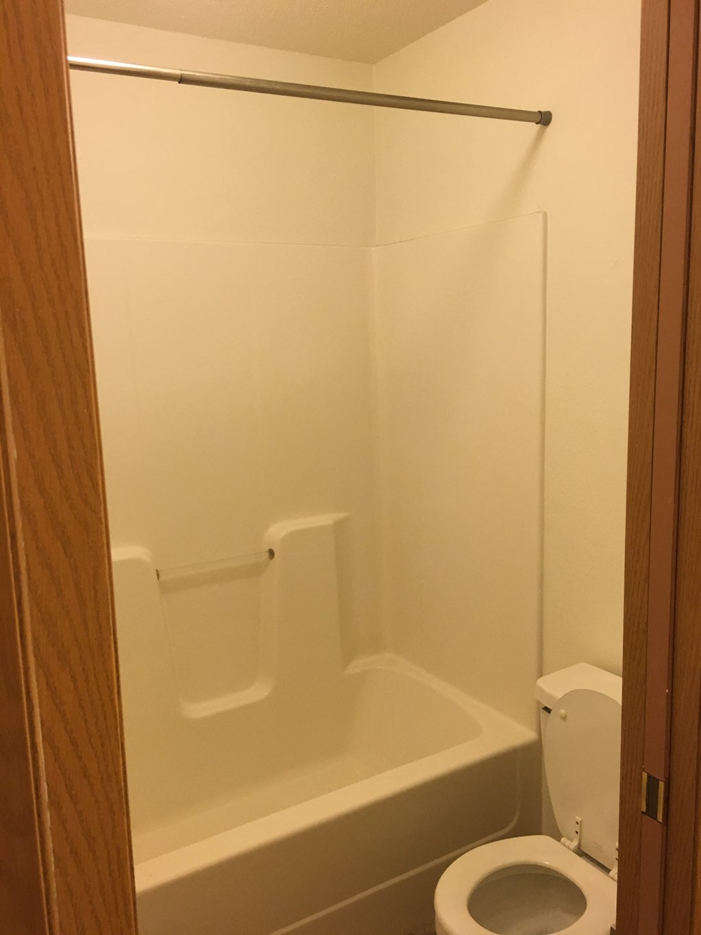 a bathroom with a toilet and a bath tub