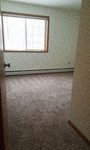 an empty room with a window and a carpeted floor