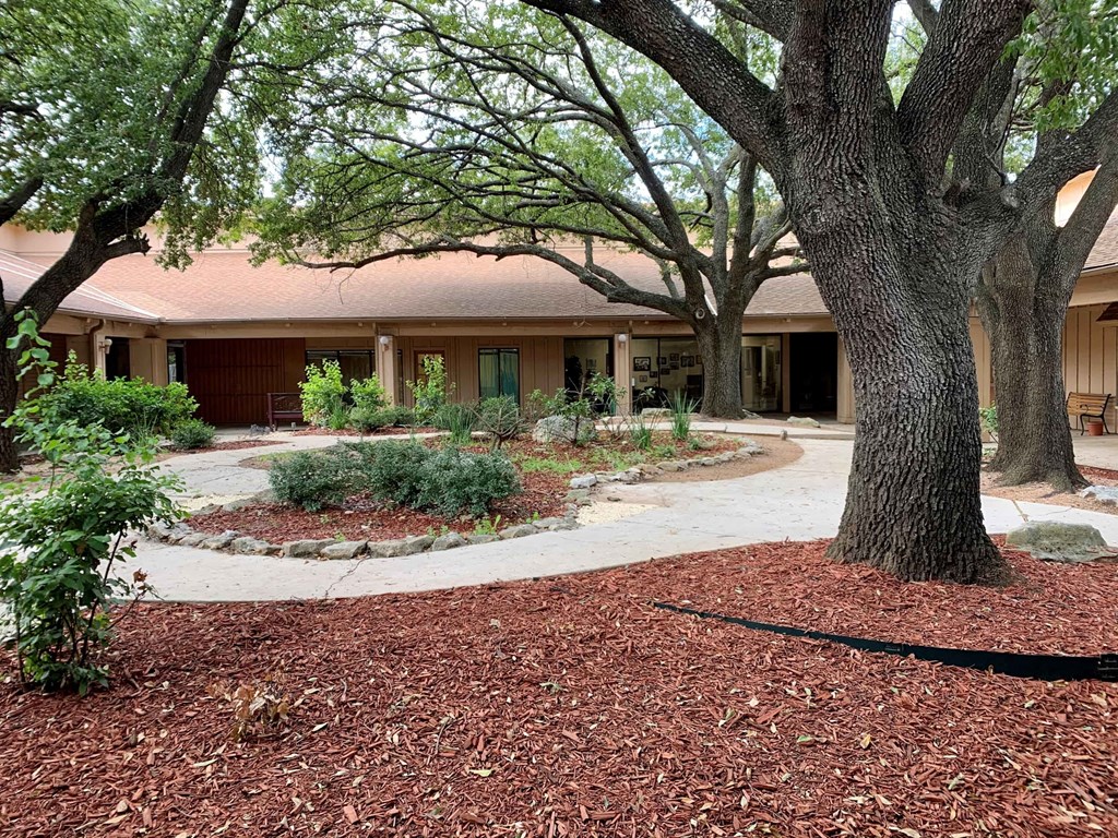 a courtyard with trees and plants in front of a building