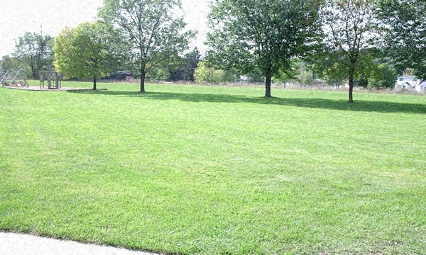 a field of green grass with trees in a park