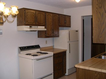 1445 Northway Drive 1-2 Beds Apartment for Rent - Photo Gallery 4