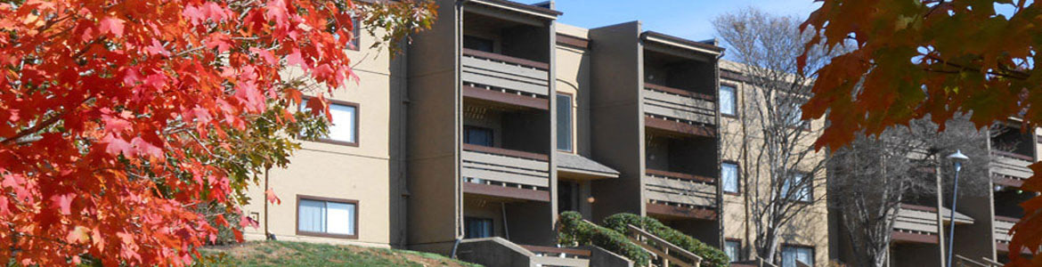 Suson Pines Apartments In St Louis Mo