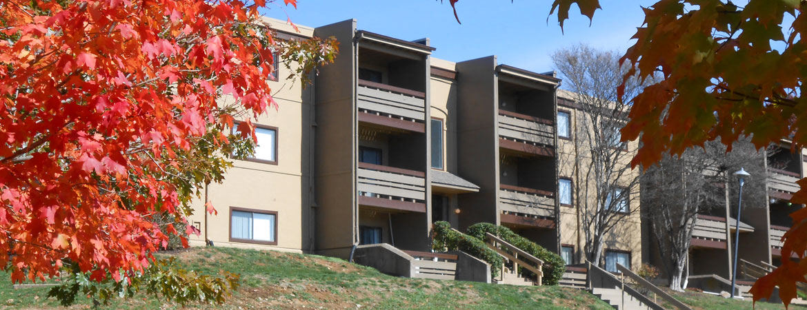 Suson Pines | Apartments in South County St. Louis, MO