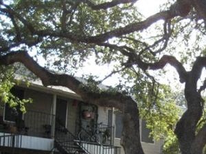 2207 South 5th Studio-2 Beds Apartment for Rent - Photo Gallery 3