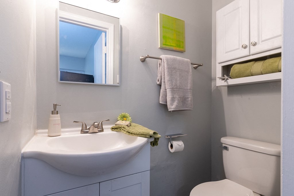 a small bathroom with a sink and a toilet