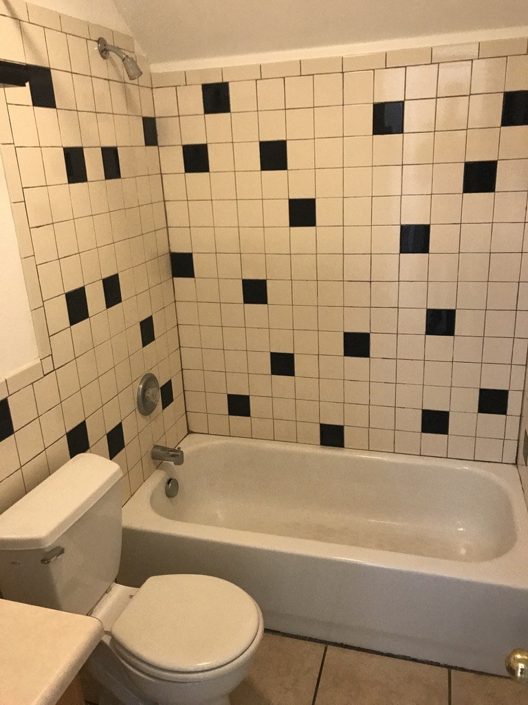 a bathroom with a toilet and a bath tub