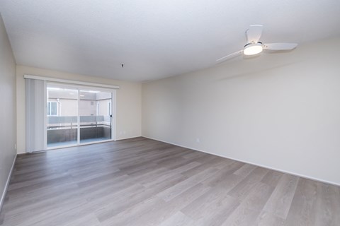 257 Vernon Street Studio-2 Beds Apartment for Rent
