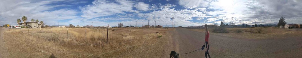 a dirt road in the middle of a field