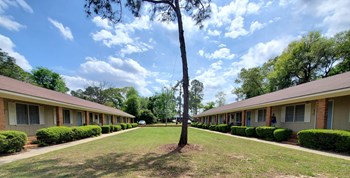 1008 5th Avenue 1-2 Beds Apartment for Rent