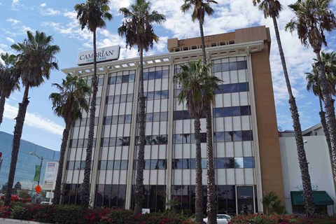 a tall building with palm trees in front of it