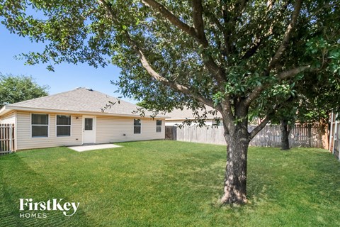 A tree stands in a grassy yard in front of a house.