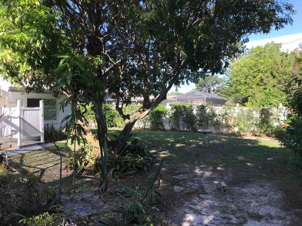 a yard with a tree and a house in the background