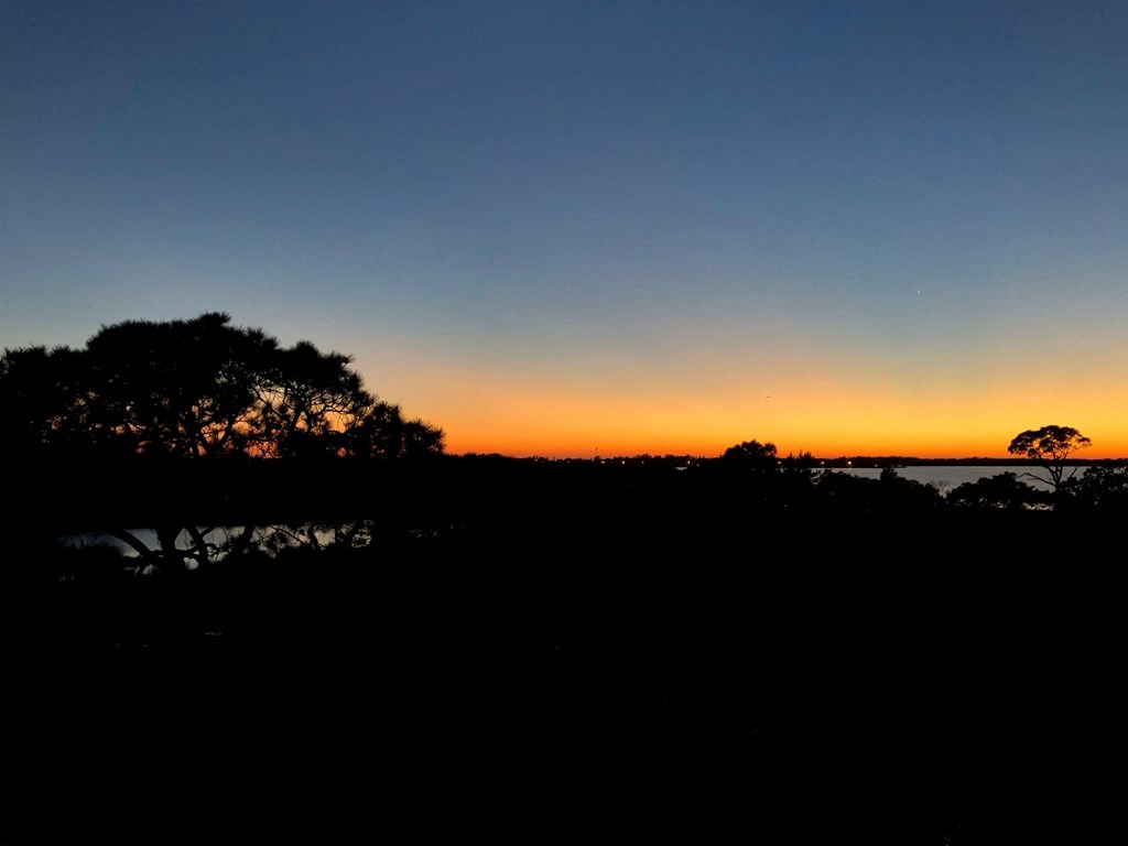 the sun setting over the ocean with trees in the foreground