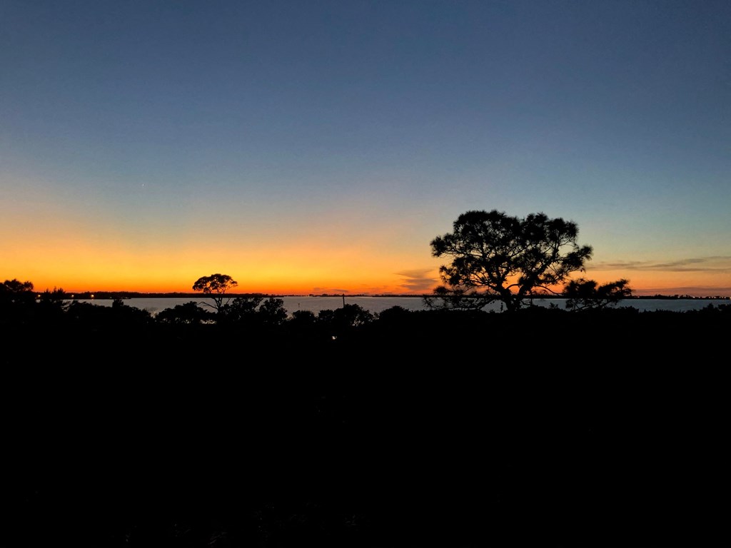 the sun setting over the ocean with trees in the foreground