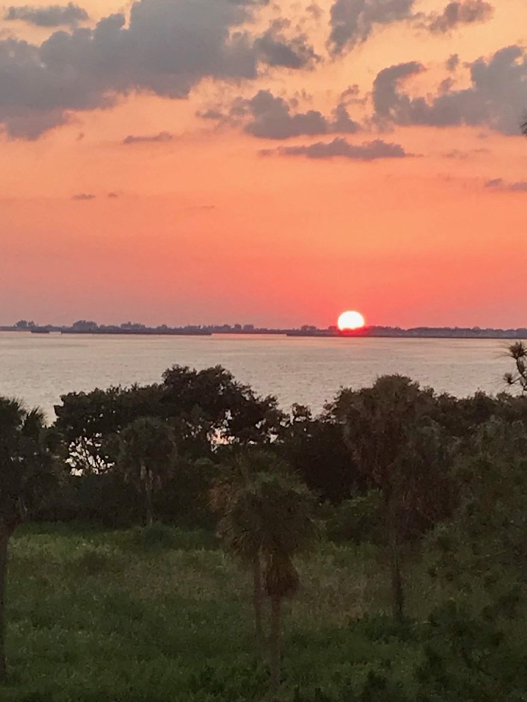 the sun setting over the water with trees in the foreground